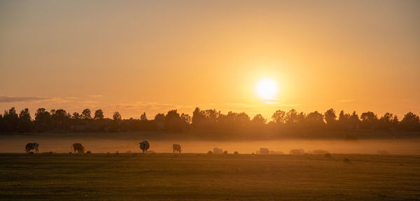 Silhouette trees on field against sky during sunset