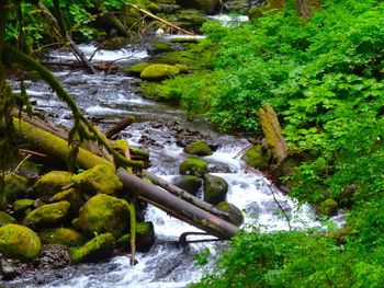 River flowing through rocks