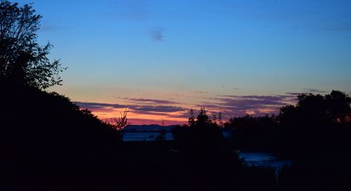 Silhouette trees against sky during sunset