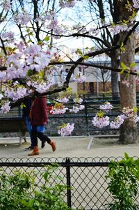 Woman holding flowers in park