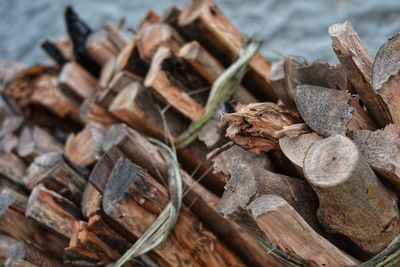 Close-up of logs