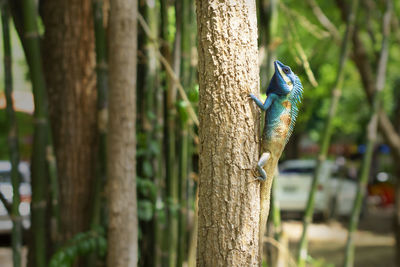 Bird perching on tree trunk