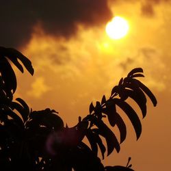 Low angle view of sky at sunset