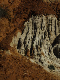 Rock formation in cave