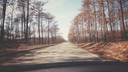 Road amidst trees against sky seen through car windshield