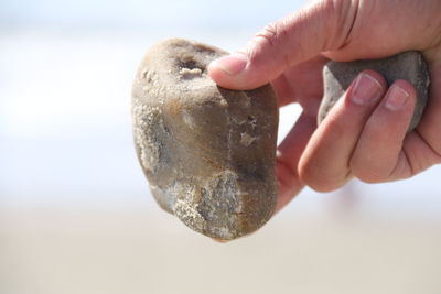 Close-up of hand holding rock