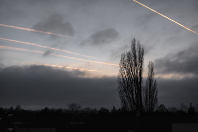Low angle view of silhouette trees against sky