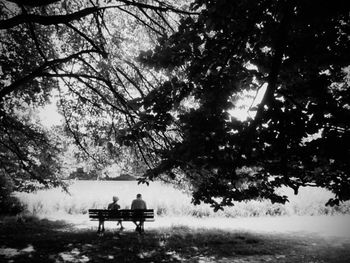 Rear view of people sitting on bench in park