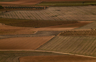 Aerial view of agricultural fields in castilla la mancha, spain