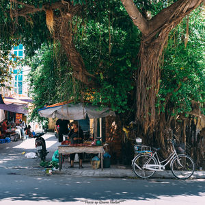 People on bicycle against tree