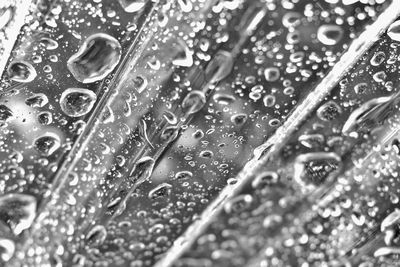 Full frame shot of raindrops on glass