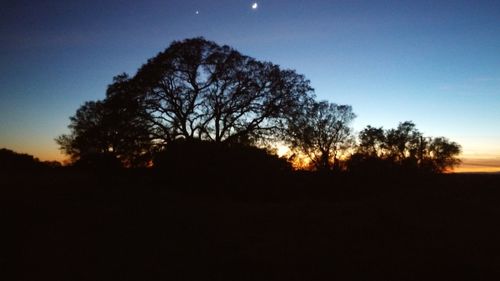 Low angle view of silhouette trees against sky during sunset