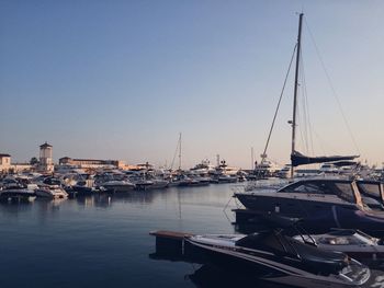 Sailboats moored at harbor against clear sky