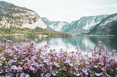 Scenic view of lake by mountains against sky