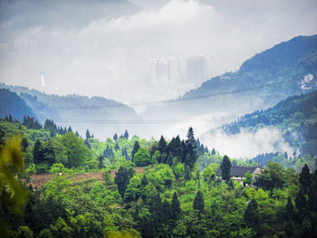 Panoramic view of trees on landscape against sky