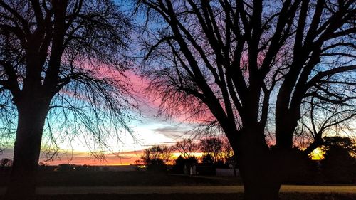 Silhouette of trees at sunset