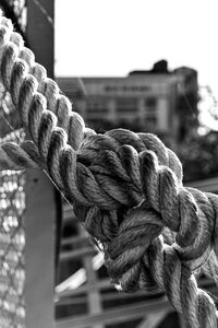 Close-up of rope tied to wooden post