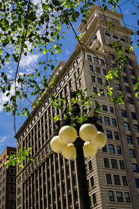 Low angle view of flower tree in city against sky