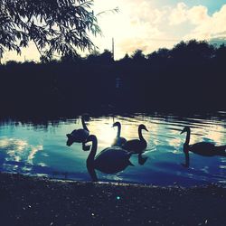 Silhouette people swimming in pool by lake against sky