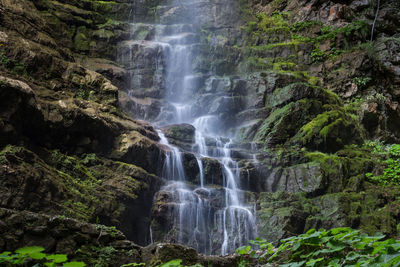 Scenic view of waterfall in forest