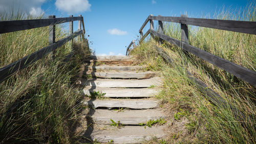 Footpath amidst plants on field against sky