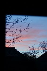 Low angle view of silhouette tree against sky