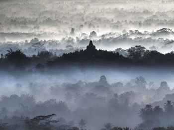 Panoramic view of trees against sky