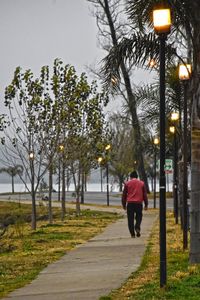 Rear view of man walking on road amidst trees