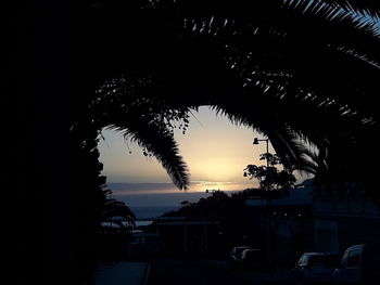 Silhouette trees against sky during sunset