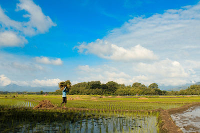 Scenic view of agricultural field against sky