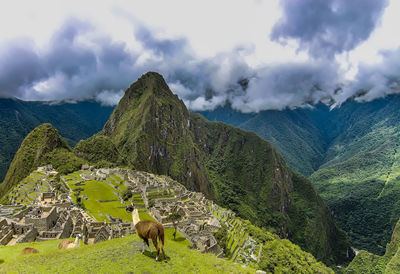 Panoramic view of green landscape against sky