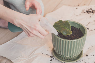 High angle view of person spraying water over plant on table