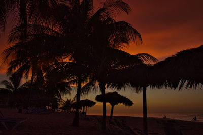 Silhouette palm trees on beach against sky during sunset