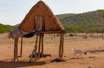 A storage room in a himba village in the kunene region of namibia