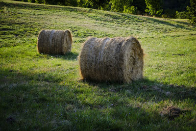 Hay bales on field