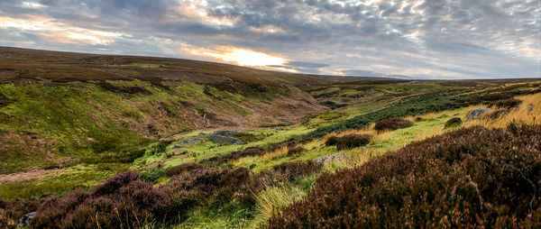 Scenic view of landscape against sky