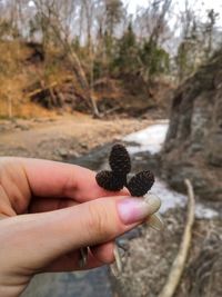 Close-up of hand holding plant