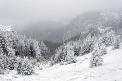 Idyllic shot of snow covered landscape