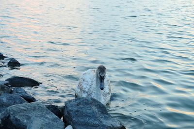Rock formations in sea