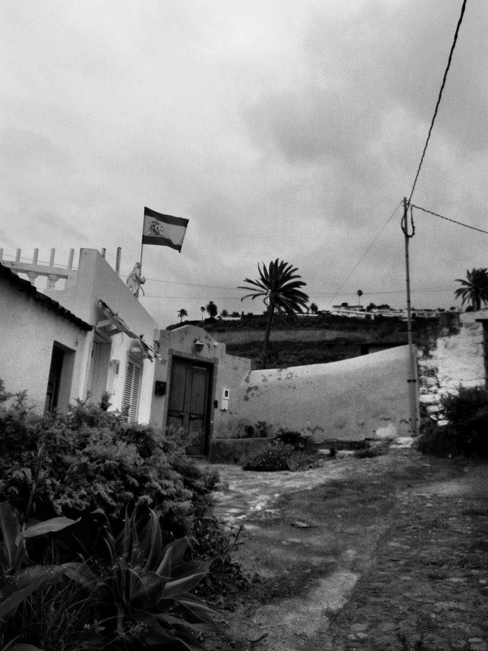 architecture, built structure, sky, building exterior, cloud - sky, building, nature, plant, no people, day, tree, residential district, house, outdoors, city, abandoned, land, old, palm tree, low angle view