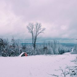Scenic view of snow covered landscape