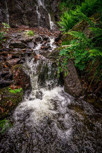 View of waterfall in forest