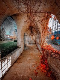 Empty footpath amidst buildings in park during autumn