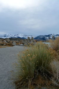 Dusk in the mono lake tufa state natural reserve in eastern california on a cold december day 
