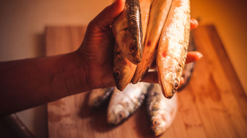 Close-up of hand holding fish