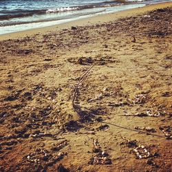 Scenic view of beach