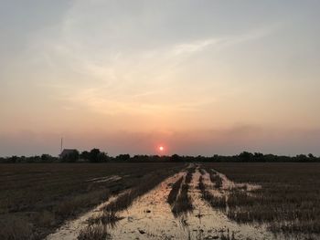 Scenic view of field against sky during sunset