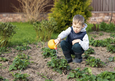 Portrait of cute boy watering plants