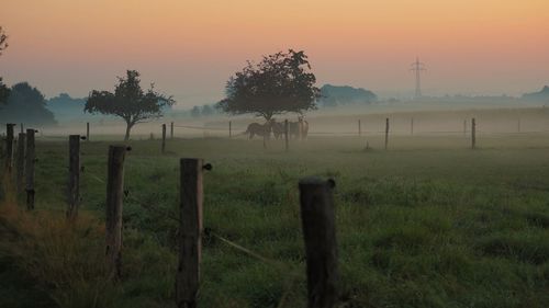 Fence on grassy field