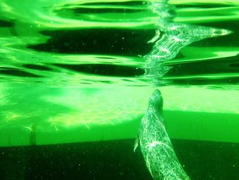 Close-up of water in water